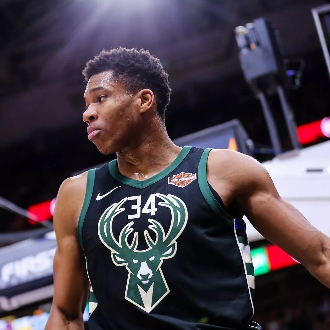 这一任命不 这一任命不