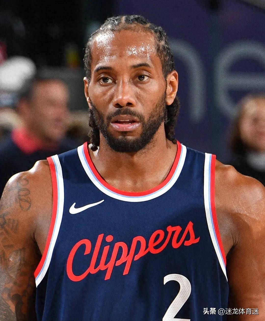 变得可被预 变得可被预